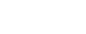 AMD logo white