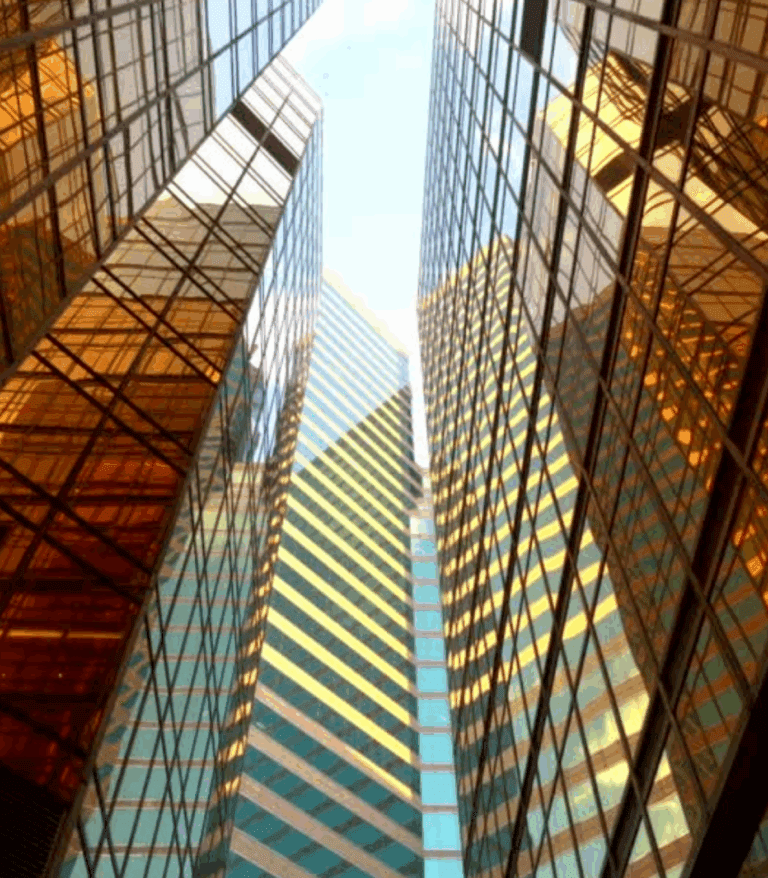 Company – Investors