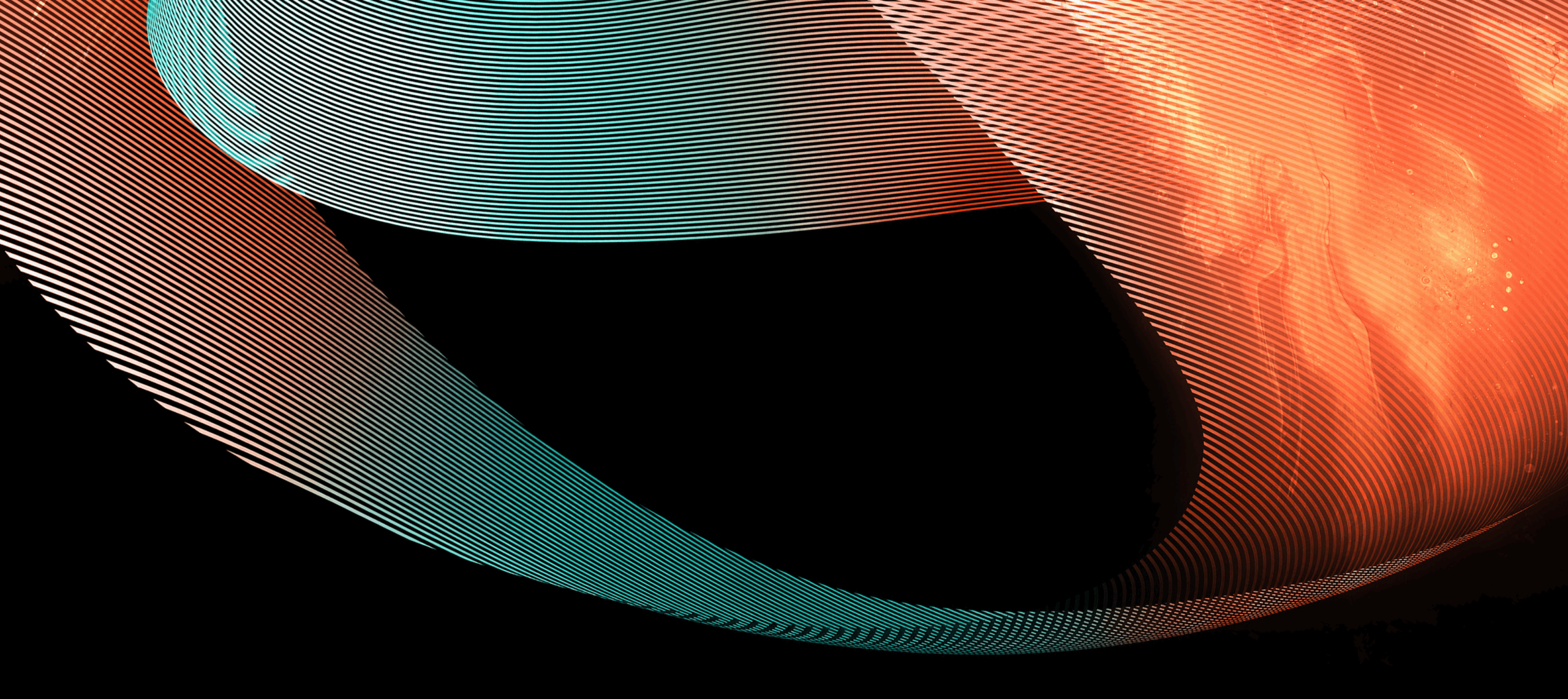 content cta_1440 x 642