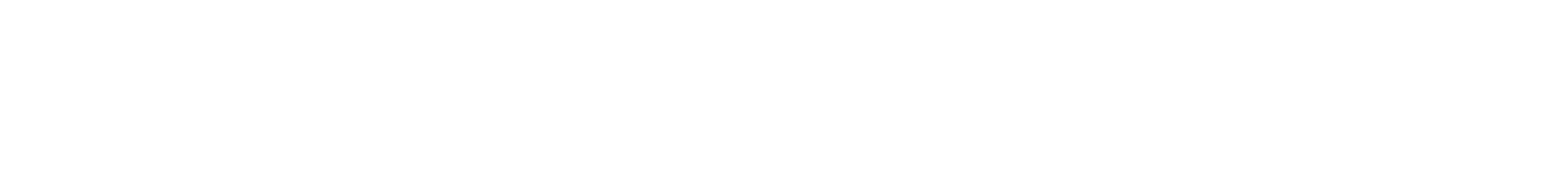 MagnaFlowGroup_White 1 (1)